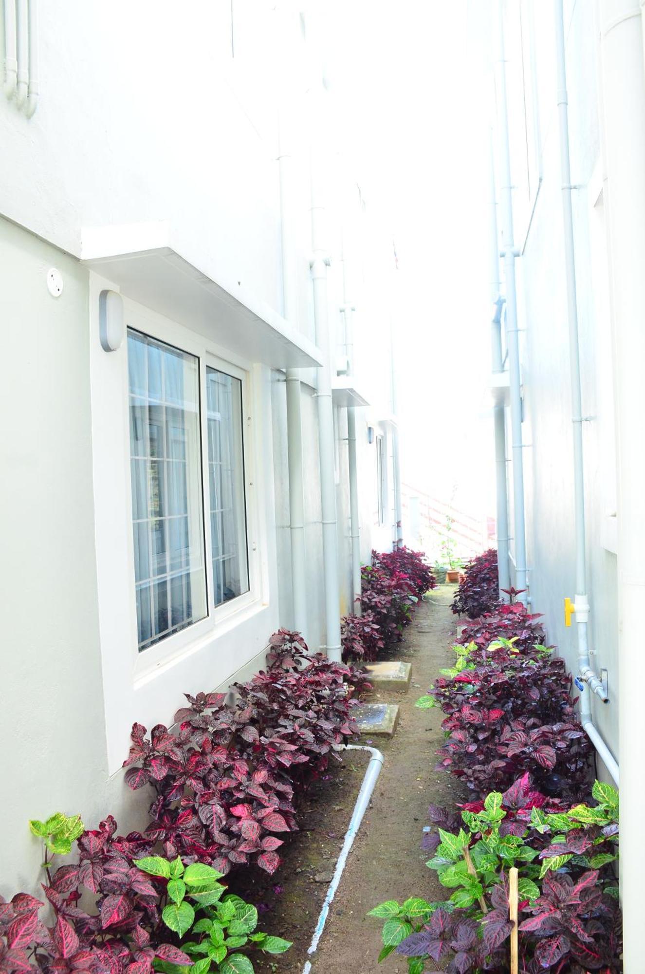 Villa Dusk & Dawn Tamilnadu - Tamilnadu - Kodaikanal Exterior foto